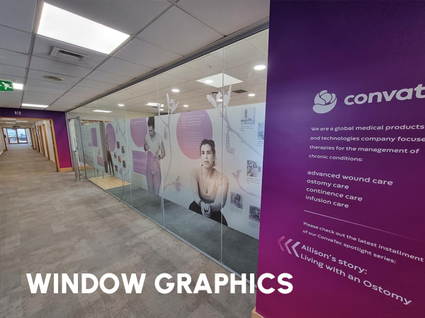 Window Graphics