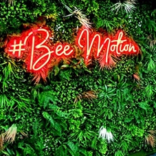 Photo of illuminated signs