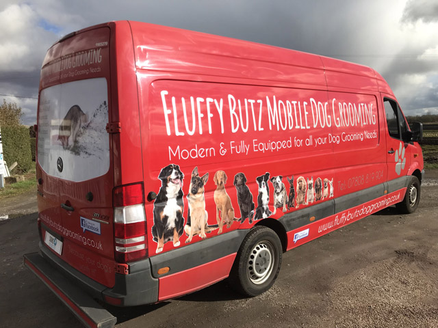 Photo of vehicle with graphics