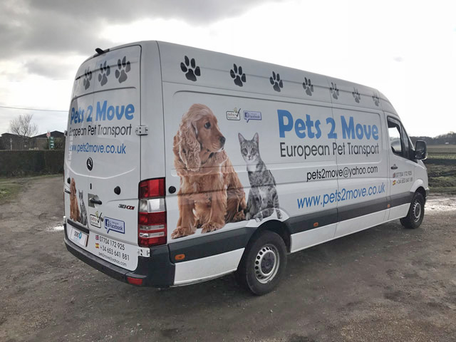 Photo of vehicle with graphics