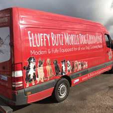 Photo of vehicle with graphics