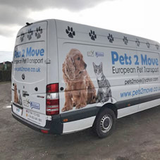 Photo of vehicle with graphics