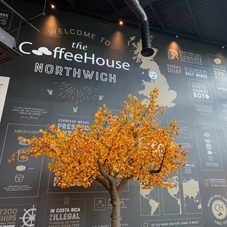 Photo of wall graphics