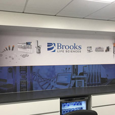 Photo of wall graphics